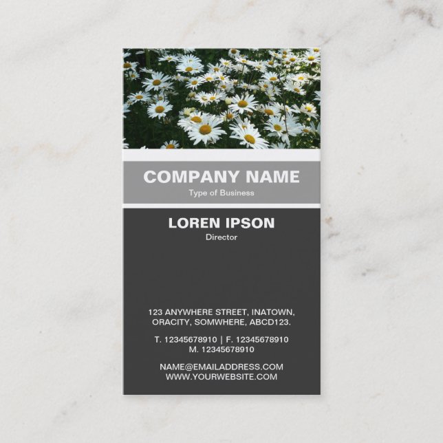 Vertical Banded - Shasta Daisies Business Card (Front)
