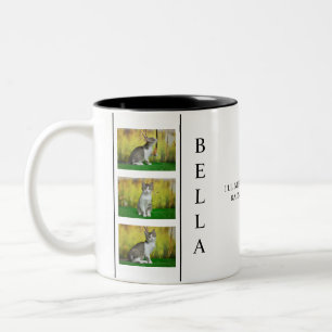 Vertical Pet Memorial Layout with Photo Trio Two-Tone Coffee Mug