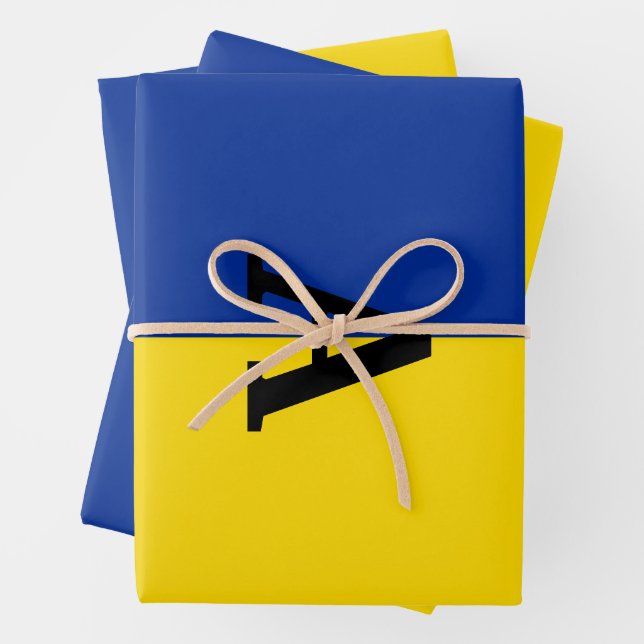 Vertical Ukraine Flag blue and yellow monogram Wrapping Paper Sheet (In situ)