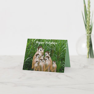 Vervet Family Holiday Photo Cards