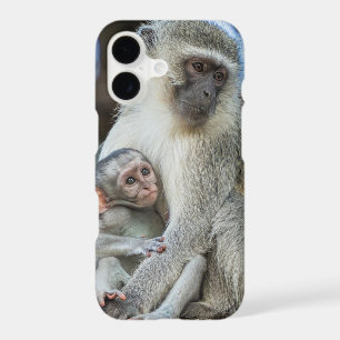 Vervet Monkey Hugging