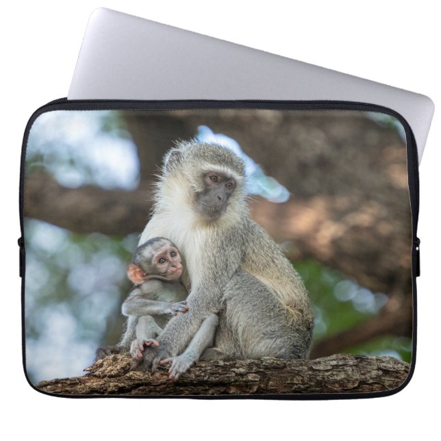 Vervet Monkey in African Wildlife Laptop Sleeve (Front)