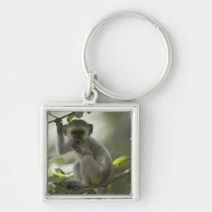 Vervet Monkey, Zimbabwe Key Ring