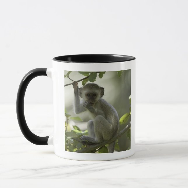 Vervet Monkey, Zimbabwe Mug (Left)