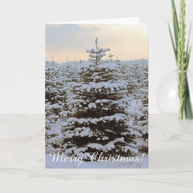 Very Beautiful Christmas Greeting Card! Card (Front)