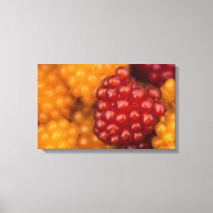 Very Berry Canvas Print