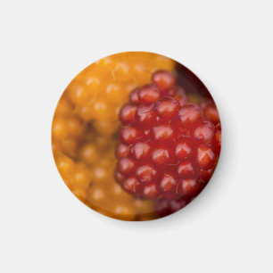 Very Berry Magnet