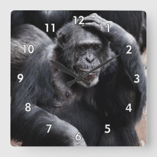 Very Cool Ape / Gorilla Scratching His Head Square Wall Clock