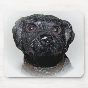 Very Cool Black Lab Mouse Mat