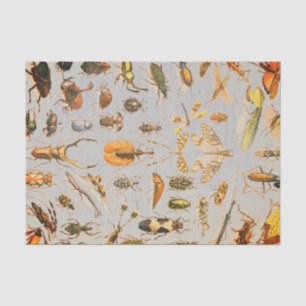 VERY COOL INSECT Tissue Paper