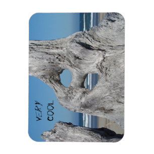 Very Cool magnets Blue Ocean Beach waves Driftwood