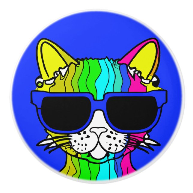 Very Cool Rainbow Cat with Sunglass on Blue Ceramic Knob (Front)