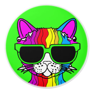 Very Cool Rainbow Cat with Sunglass on Green Ceramic Knob