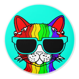 Very Cool Rainbow Cat with Sunglass on Teal Ceramic Knob