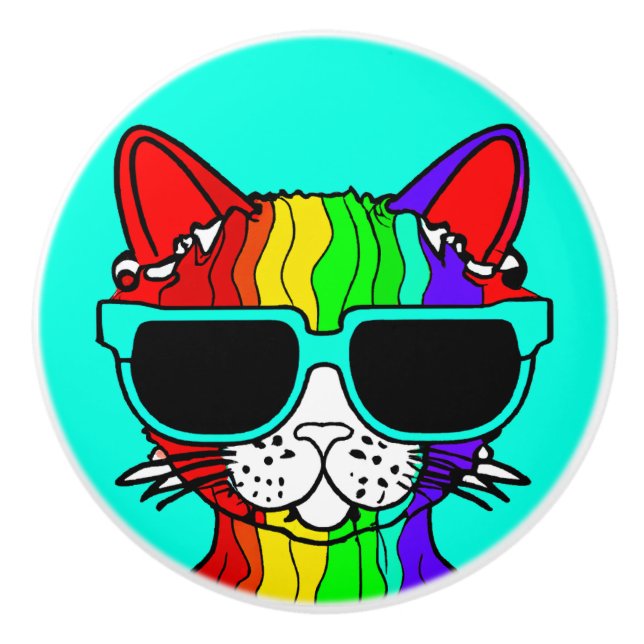 Very Cool Rainbow Cat with Sunglass on Teal Ceramic Knob (Front)