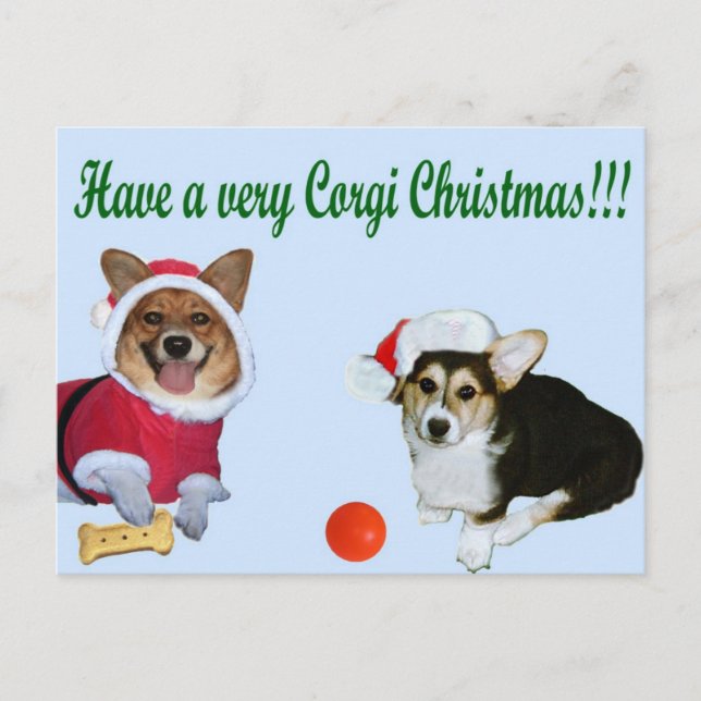 Very Corgi Christmas M & G Blue Postcard (Front)