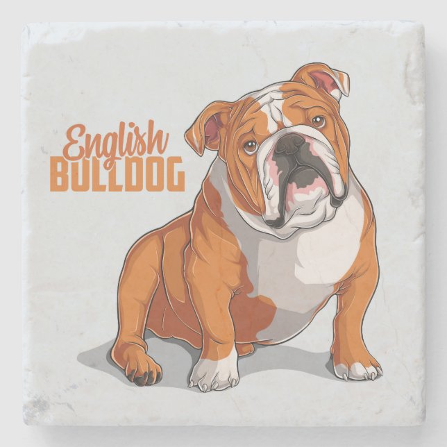 Very Cute and Colourful English Bulldog Sketch Stone Coaster (Front)