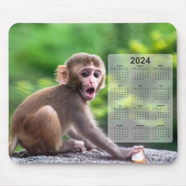Very Cute Baby Monkey 2024 Calendar Mouse Mat (Front)