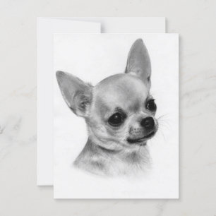 Very Cute Hand Painted Chihuahua Art Postcard