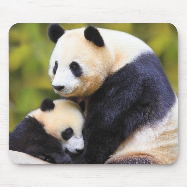 Very Cute Panda Mouse Mat (Front)