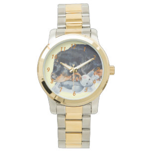 very cute picture of puppy rottweiler watch