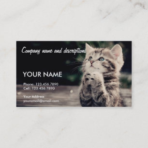 Very Cute Praying Cat Business Card