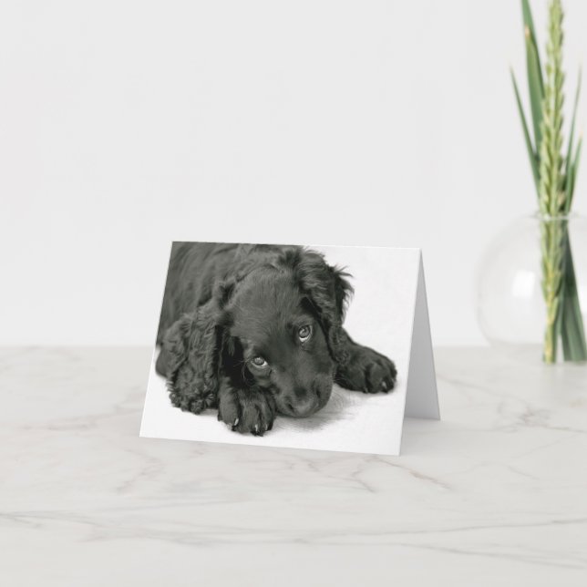 Very Cute Puppy Card (Front)