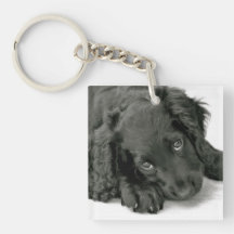 Very cute Spaniel Keychain