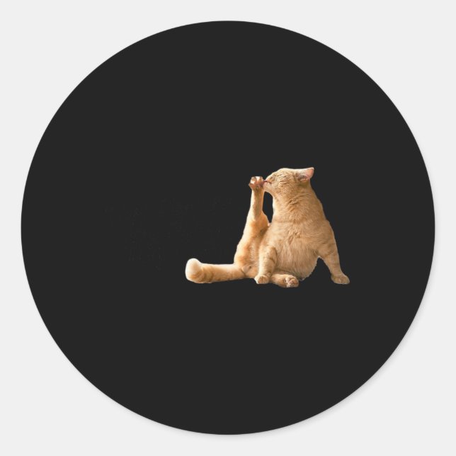 Very Demure Mindful Cly Meme Funny Cat  Classic Round Sticker (Front)