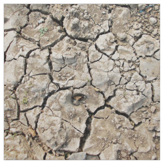 Very Dry And Cracked Soil Fabric