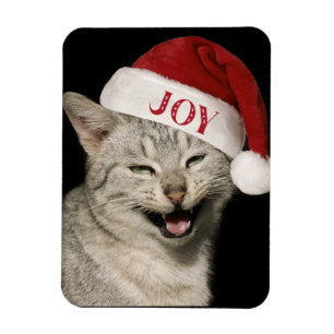 Very Funny Santa Cat Laugh Photo Christmas Magnet
