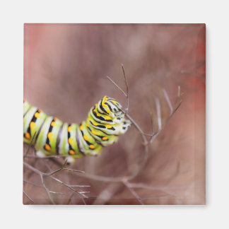 Very Hungry Caterpillar Magnet