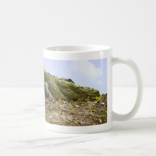 Very Large Alligator- Nature Photograph Coffee Mug
