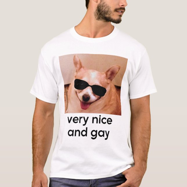 Very Nice And Gay Funny Dog Glasses Meme T-Shirt (Front)