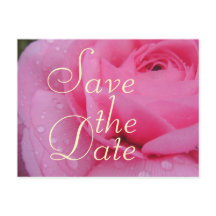 Very Pink Save The Date Rose