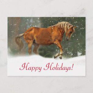 Very Pretty Horse in the Snow Holiday Postcard