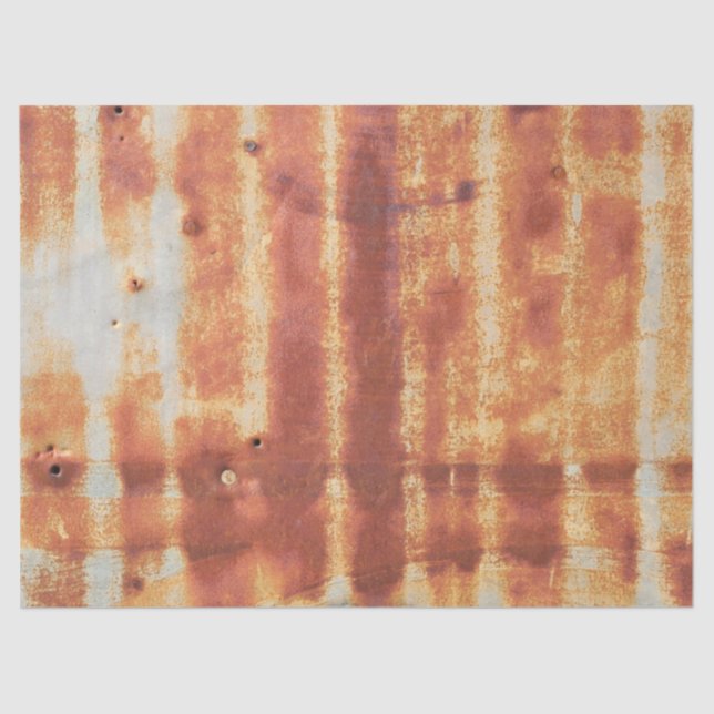 Very Rough Metal Exterior Wall of a Rural Outbuild Tissue Paper (Front)