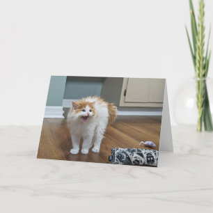 "Very Scary" - Dewey is all floofed up Card