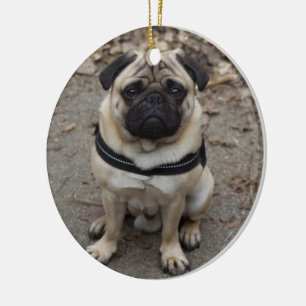 Very Serious Pug Ceramic Tree Decoration