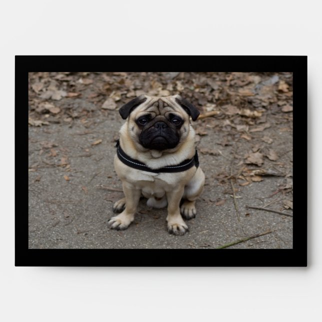 Very Serious Pug Envelope (Front)