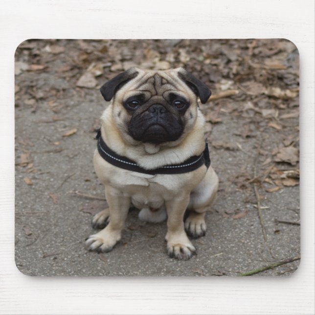 Very Serious Pug Mouse Mat (Front)
