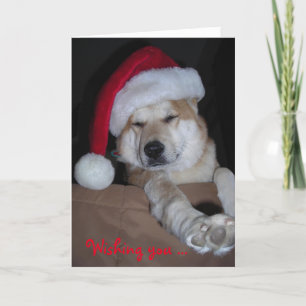 Very Shiba-Inu Christmas card