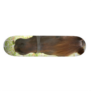 Very Sweet Chestnut Horse Skateboard