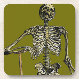 Vesalius: Skeletal System Coaster
