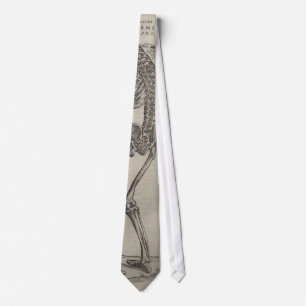 Vesalius's Fabrica Tie