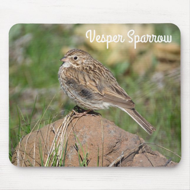 Vesper Sparrow Mouse Mat (Front)