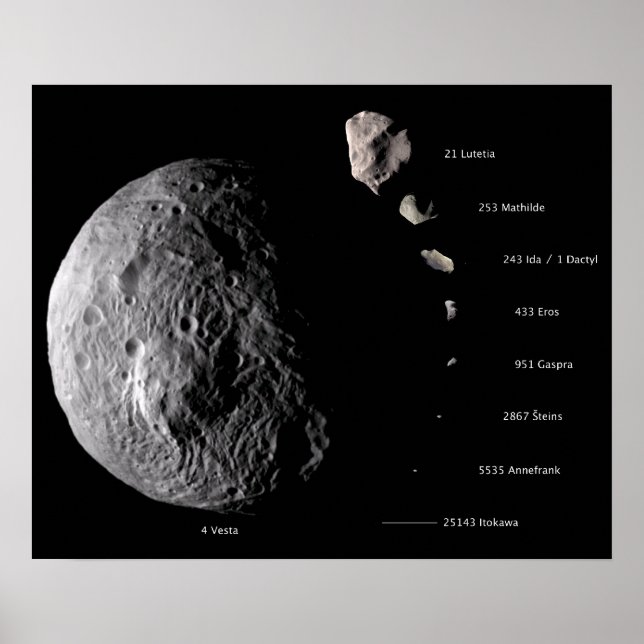 Vesta and Asteroid Gallery Poster (Front)