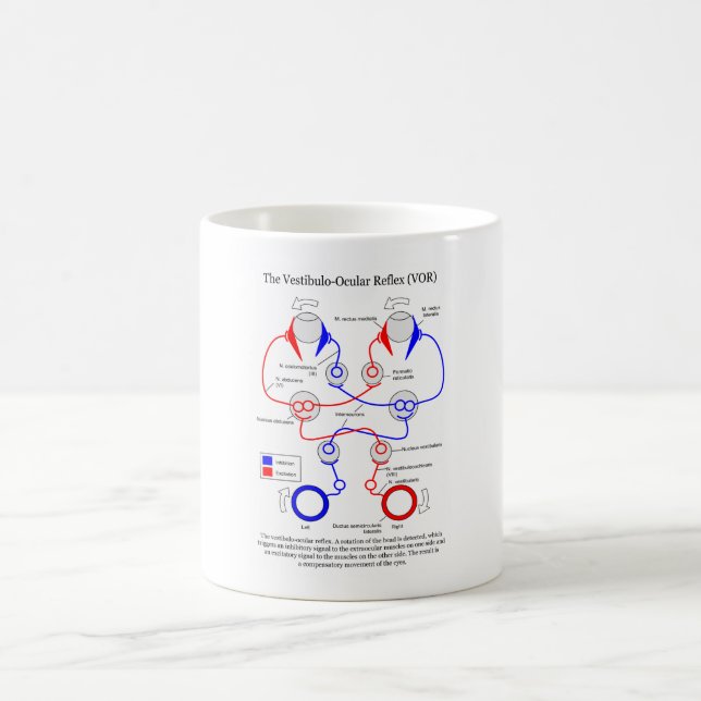 Vestibulo Ocular Reflex VOR Eye Movement Stabilise Coffee Mug (Center)