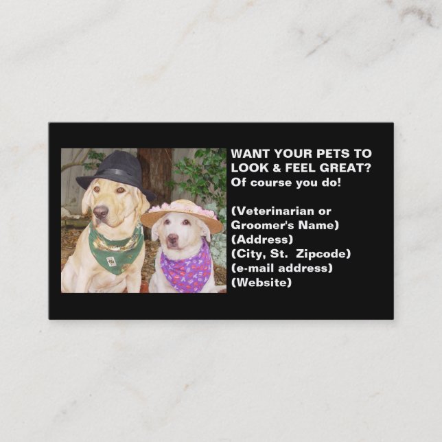Vet or Groomer's Profile Card (Front)