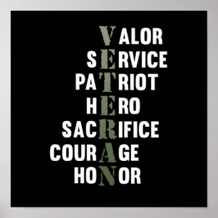 Veteran Facts Happy Veterans Day Support Graphic Poster